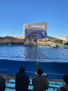 名古屋港水族館に投稿された画像（2023/11/26）