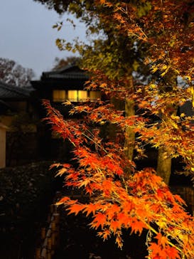 江戸東京たてもの園に投稿された画像（2023/11/26）