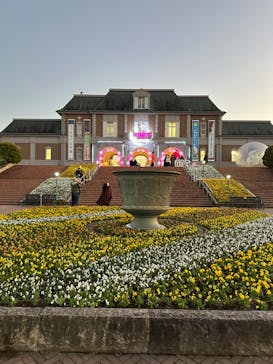 神戸イルミナージュに投稿された画像（2023/11/26）