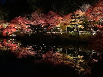 名古屋市東山動植物園に投稿された画像（2023/11/26）
