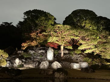 六義園に投稿された画像（2023/11/26）