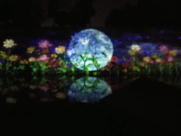 NAKED meets 二条城 2025 観月に投稿された画像（2023/11/26）