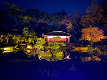 NAKED meets 二条城 2025 観月に投稿された画像（2023/11/26）