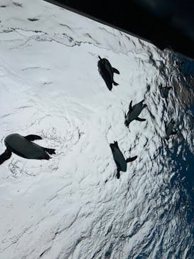 サンシャイン水族館に投稿された画像（2023/11/26）