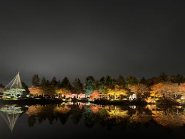 国営昭和記念公園 秋の夜散歩に投稿された画像（2023/11/26）