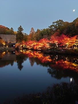 名古屋市東山動植物園に投稿された画像（2023/11/26）