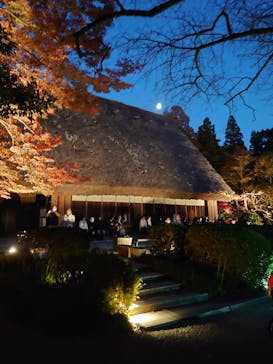 名古屋市東山動植物園に投稿された画像（2023/11/26）