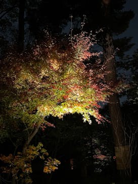 江戸東京たてもの園に投稿された画像（2023/11/26）