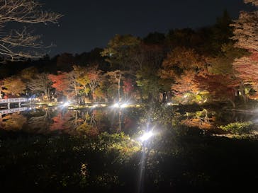 国営昭和記念公園 秋の夜散歩に投稿された画像（2023/11/26）