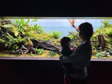 AOAO SAPPOROに投稿された画像（2023/11/26）