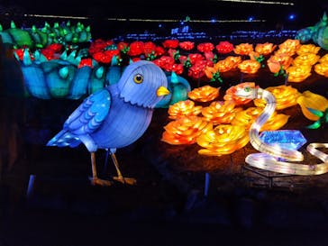 伊豆ぐらんぱる公園に投稿された画像（2023/11/26）