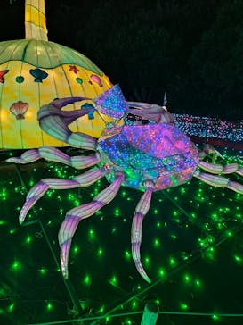 伊豆ぐらんぱる公園に投稿された画像（2023/11/26）