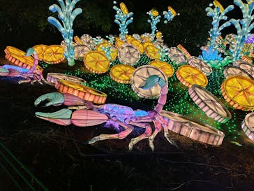 伊豆ぐらんぱる公園に投稿された画像（2023/11/26）