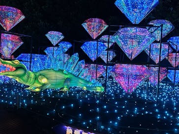 伊豆ぐらんぱる公園に投稿された画像（2023/11/26）