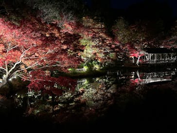 名古屋市東山動植物園に投稿された画像（2023/11/26）