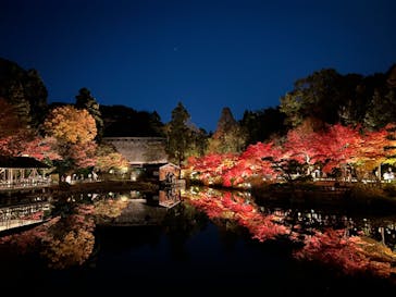 名古屋市東山動植物園に投稿された画像（2023/11/26）