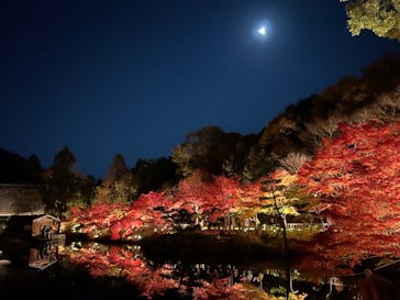 名古屋市東山動植物園に投稿された画像（2023/11/26）