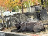 名古屋市東山動植物園に投稿された画像（2023/11/26）