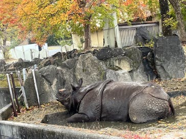 名古屋市東山動植物園に投稿された画像（2023/11/26）