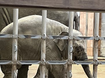 名古屋市東山動植物園に投稿された画像（2023/11/26）