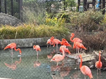 名古屋市東山動植物園に投稿された画像（2023/11/26）
