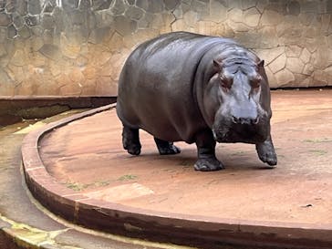 名古屋市東山動植物園に投稿された画像（2023/11/26）
