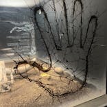 カワスイ 川崎⽔族館に投稿された画像（2023/11/26）