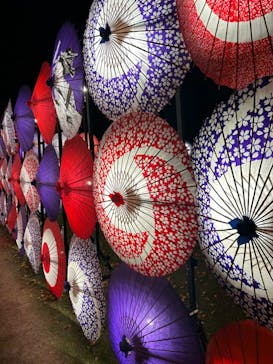 国営昭和記念公園 秋の夜散歩に投稿された画像（2023/11/26）