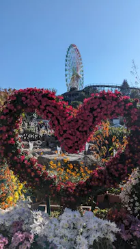 ひらかたパークに投稿された画像（2023/11/26）