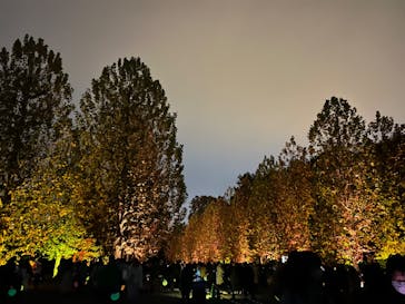 NAKED 紅葉の新宿御苑2023に投稿された画像（2023/11/26）