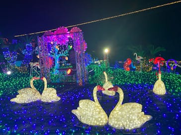 伊豆ぐらんぱる公園に投稿された画像（2023/11/26）