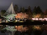 国営昭和記念公園 秋の夜散歩に投稿された画像（2023/11/26）