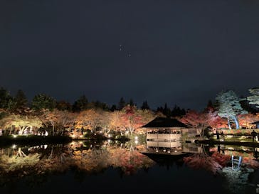 国営昭和記念公園 秋の夜散歩に投稿された画像（2023/11/26）