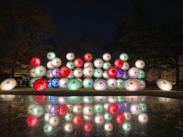 国営昭和記念公園 秋の夜散歩に投稿された画像（2023/11/26）