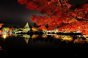 国営昭和記念公園 秋の夜散歩に投稿された画像（2023/11/26）
