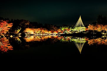 国営昭和記念公園 秋の夜散歩に投稿された画像（2023/11/26）