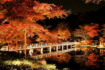 国営昭和記念公園 秋の夜散歩に投稿された画像（2023/11/26）