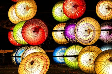 国営昭和記念公園 秋の夜散歩に投稿された画像（2023/11/26）