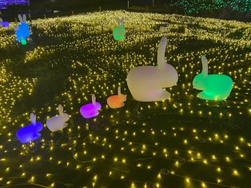 伊豆ぐらんぱる公園に投稿された画像（2023/11/26）