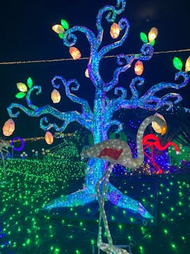 伊豆ぐらんぱる公園に投稿された画像（2023/11/26）