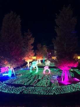 神戸イルミナージュに投稿された画像（2023/11/26）