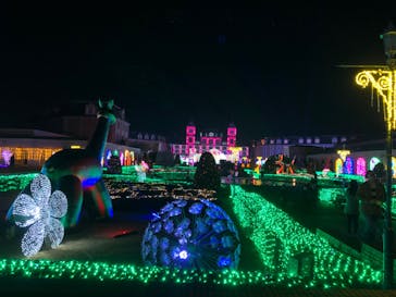 神戸イルミナージュに投稿された画像（2023/11/26）