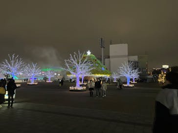 東京メガイルミに投稿された画像（2023/11/26）