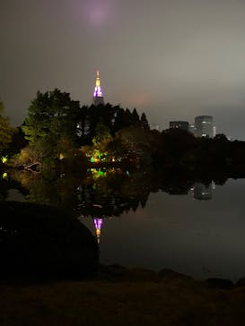 NAKED 紅葉の新宿御苑2023に投稿された画像（2023/11/26）