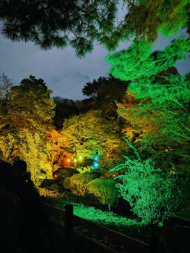 NAKED 紅葉の新宿御苑2023に投稿された画像（2023/11/26）