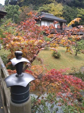 三溪園に投稿された画像（2023/11/26）