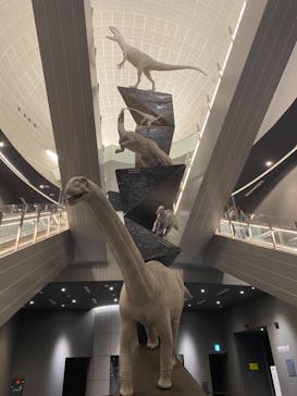 福井県立恐竜博物館に投稿された画像（2023/11/26）