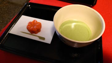 国営昭和記念公園 秋の夜散歩に投稿された画像（2023/11/26）