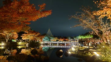 国営昭和記念公園 秋の夜散歩に投稿された画像（2023/11/26）