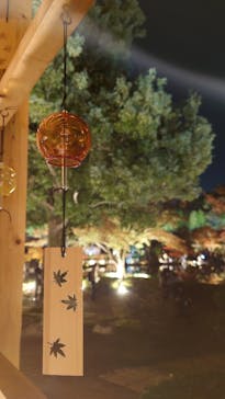 国営昭和記念公園 秋の夜散歩に投稿された画像（2023/11/26）